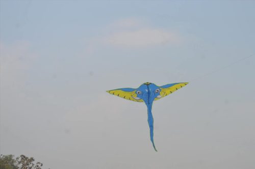 Kite-Festival-2026 6